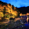 香嵐渓の夏のライトアップ