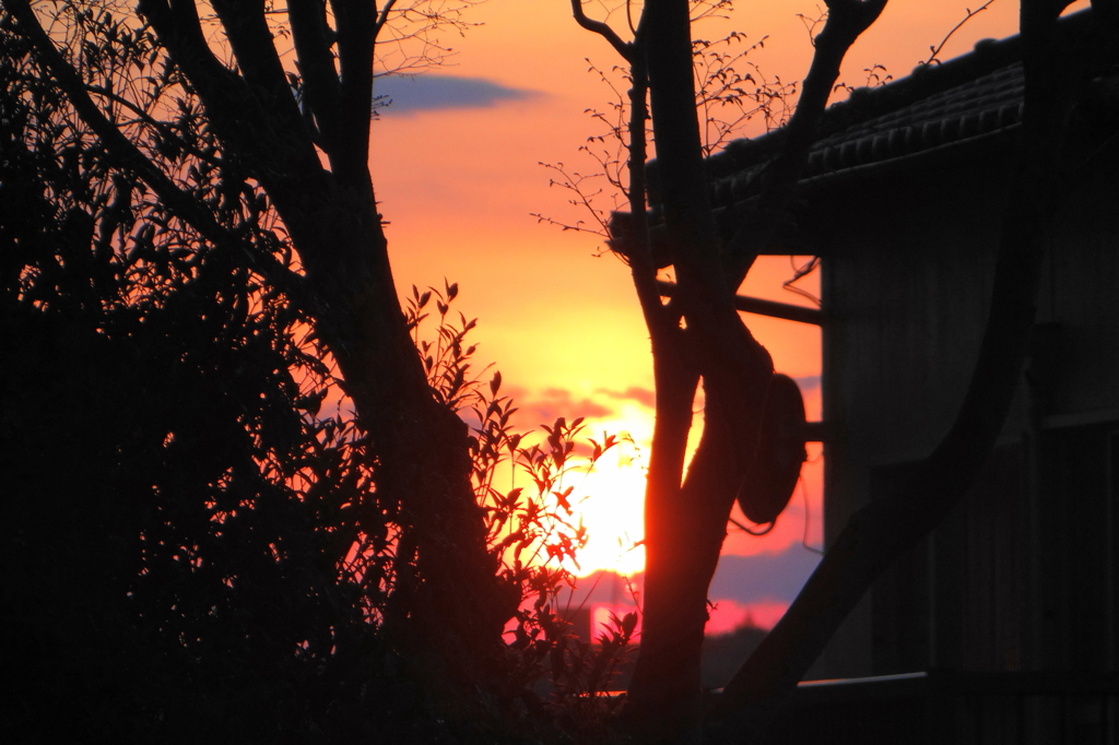 住宅の夕陽