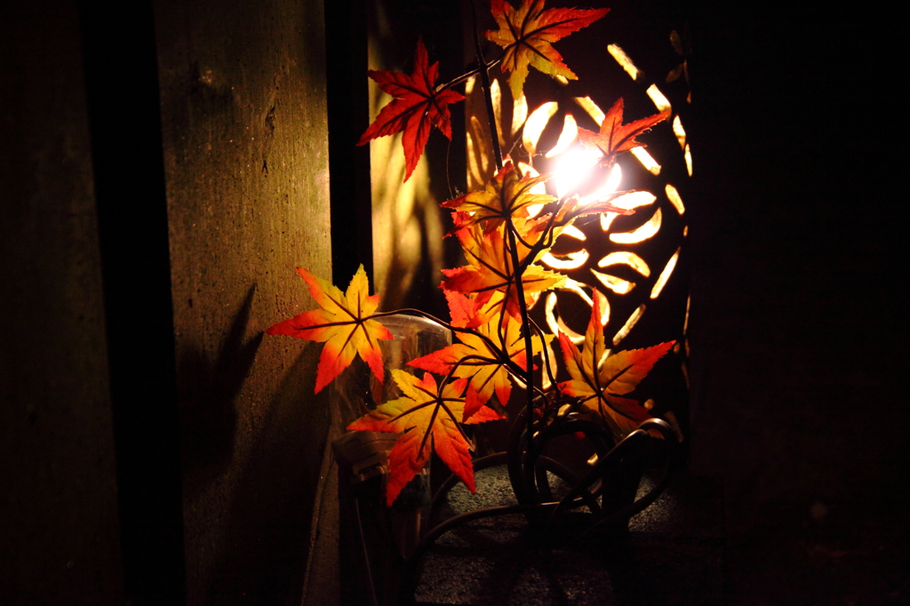 紅葉の竹灯り　紅葉　愛知県瀬戸市