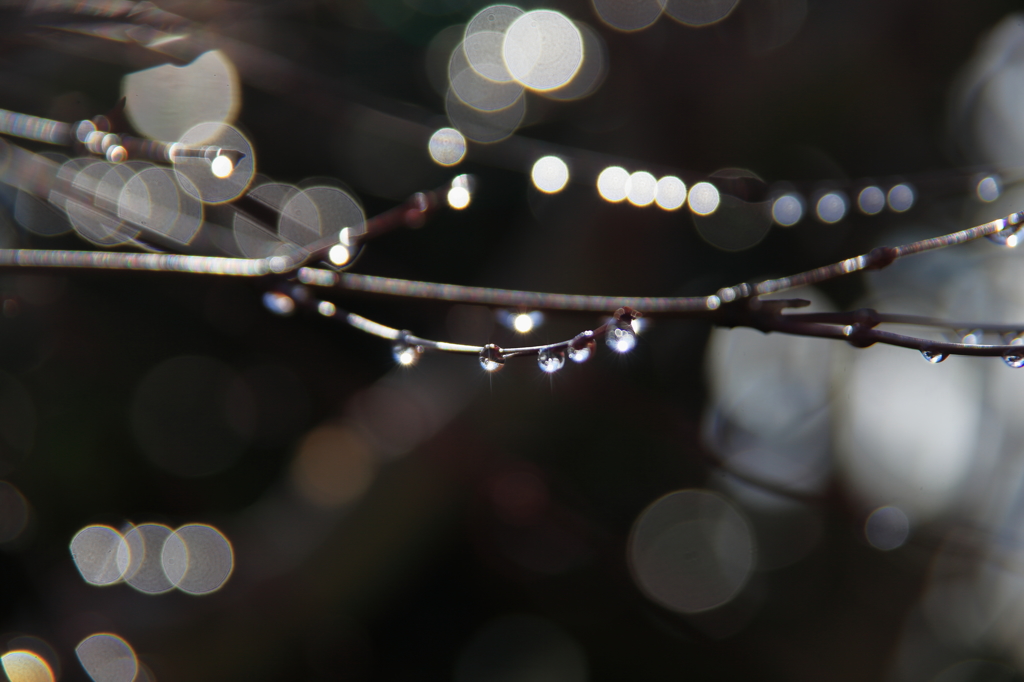 雨後の晴れ間に～～