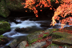 王滝渓谷：王滝川の朝景 (2)