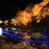 香嵐渓：もみじの下のプラネタリウム
