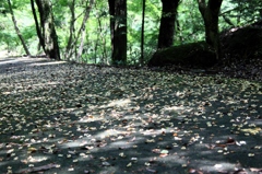 王滝渓谷：踏まないでね～～ 