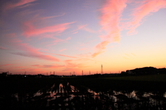 夕焼け