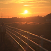 夕陽と逢妻女川サイクリングロード