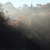 タカドヤ池の朝日の光芒