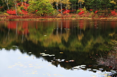 志賀高原：丸池の紅葉９