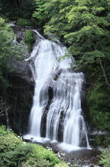 濁河温泉：大きな白糸の滝