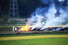 散歩道の野焼き