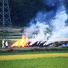 散歩道の野焼き