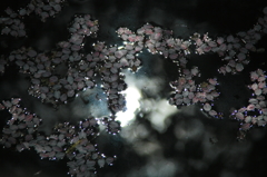 水光煌