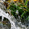 水遊び