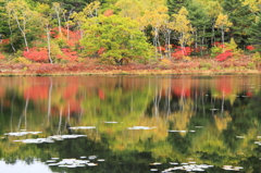 志賀高原：丸池の紅葉５