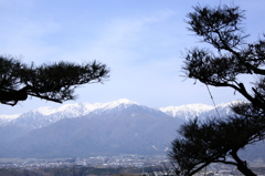 栖林寺からの中央アルプス