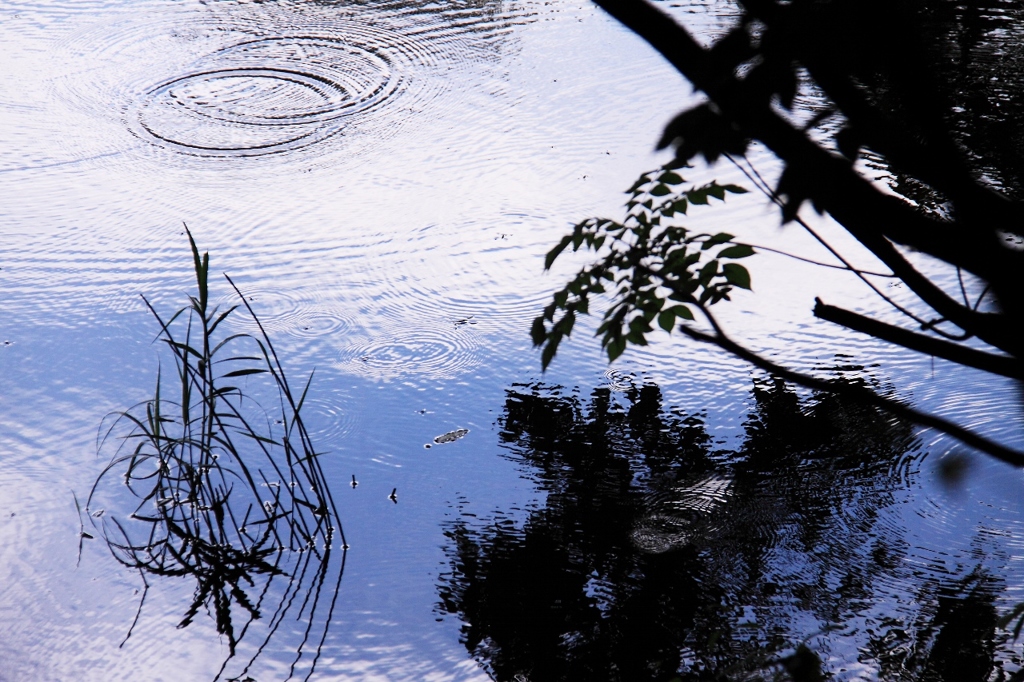 タカドヤ池 (1280x853)