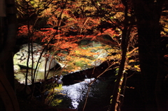 岩屋堂公園：ライトアップ５