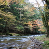 奥三河の紅葉