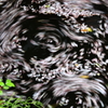 花筏の舞