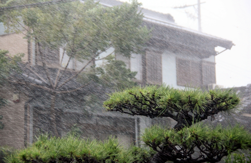 台風１８号通過中・・・・・