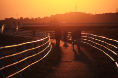 薄紅のサイクリングロード