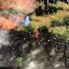 紅葉の水カーテン