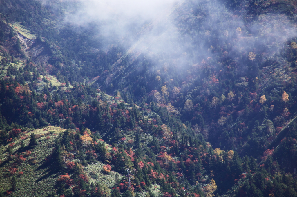 谷の紅葉