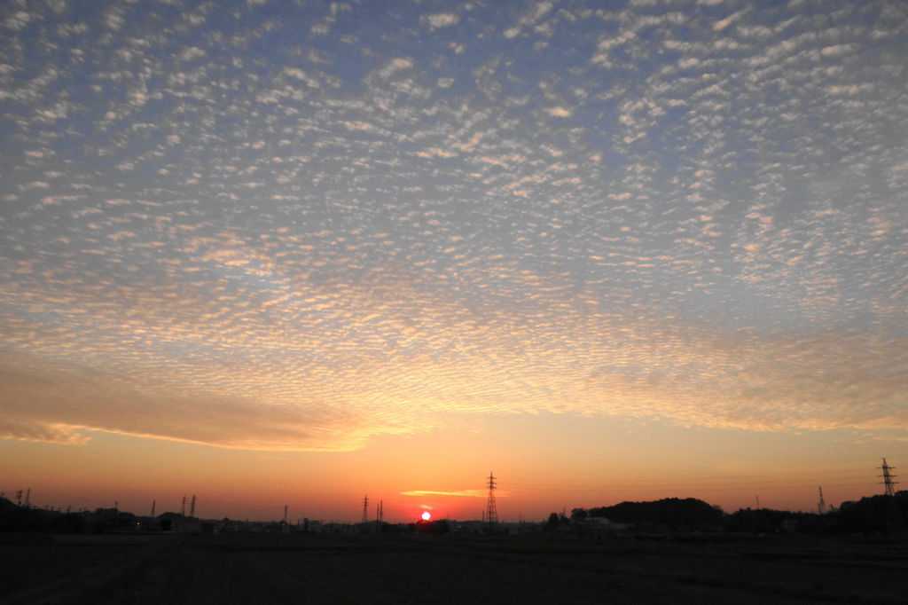 鱗雲の夕暮れ