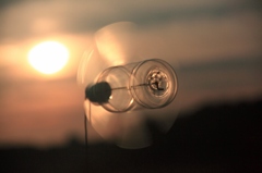 夕陽を背に受けて～～