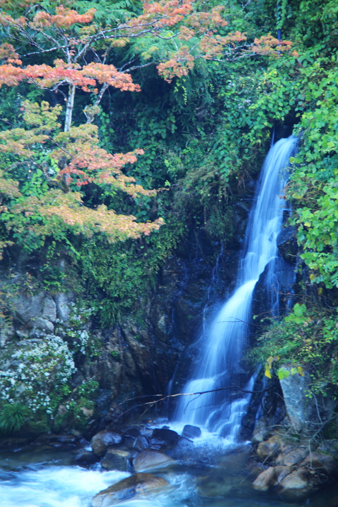 大井平の滝