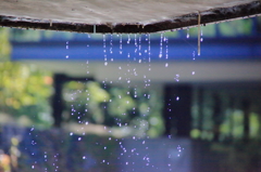 水滴