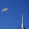 青空に凧１枚