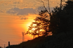 夕陽