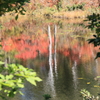一沼の紅葉２