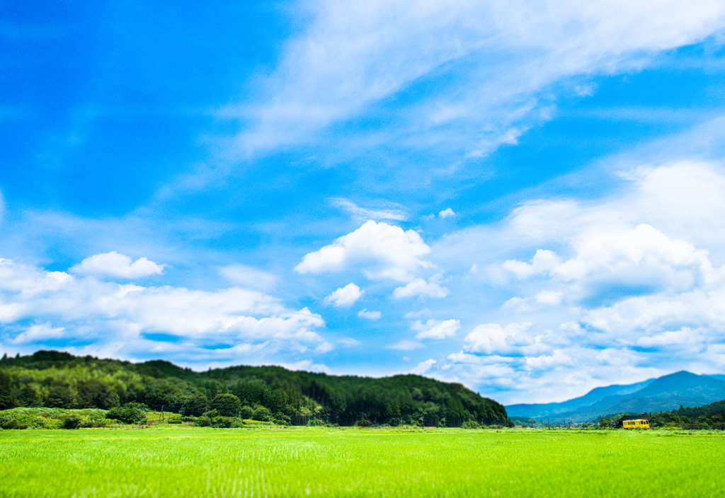 ～　夏　彩... 　爽　風...　～