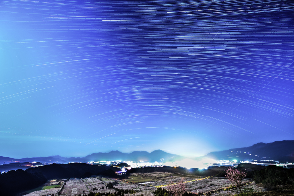 ～ 春の夜風に揺れる梅園... ～