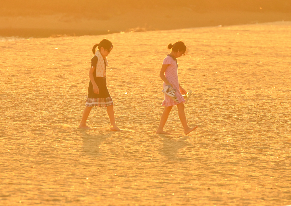 ~ 夏の黄昏 ~