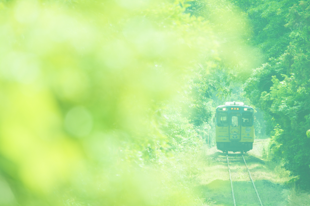 ～　Afternoon light　 午後光　～