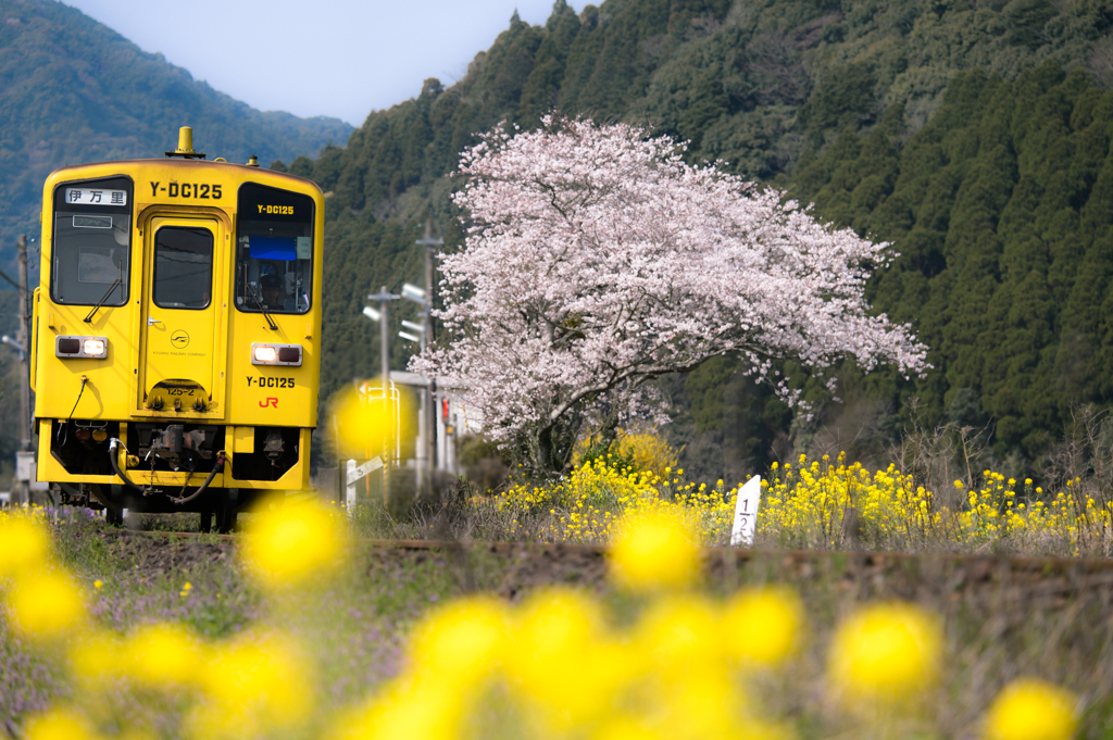 ～ 僕達急行 A列車で行こう ～