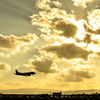 ～　Backlight landing...　逆光着陸　～