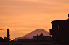 東京で富士山
