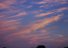 夕焼け　aIMGP9459b