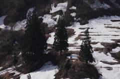 雪景色　aIMGP3898b