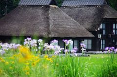 茅葺き農家