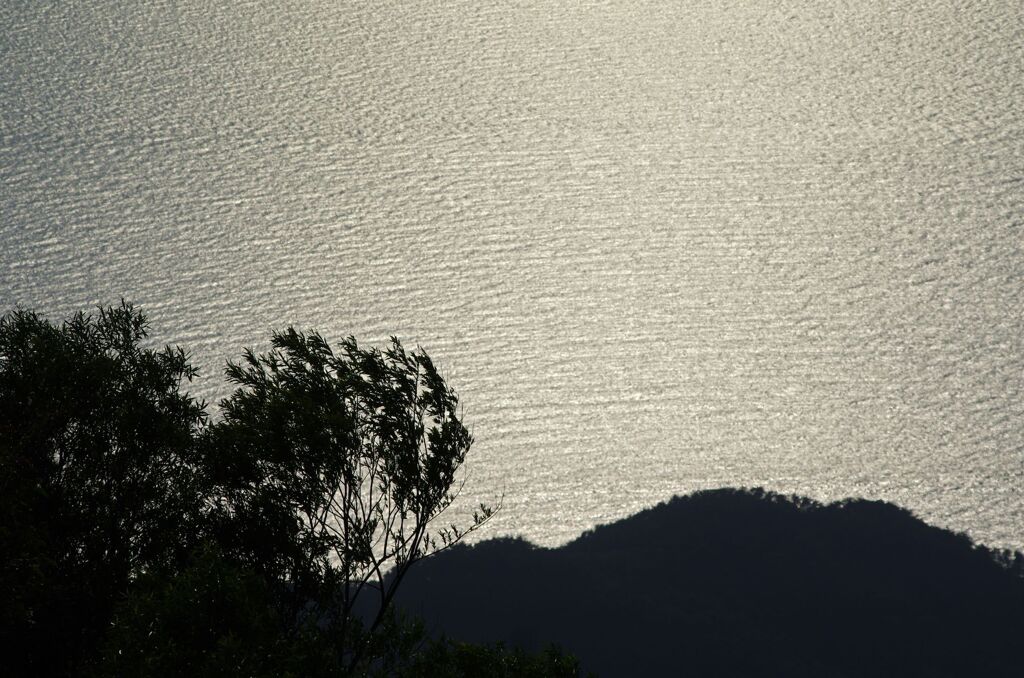 夕海