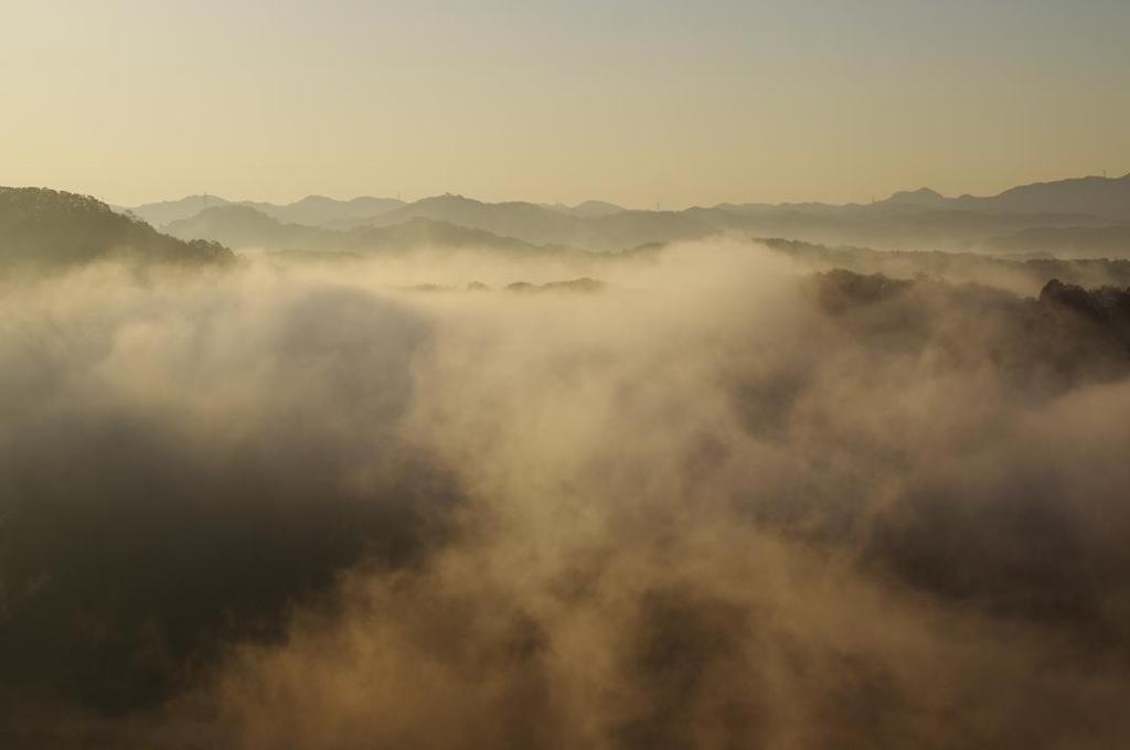 夜明け　aIMGP6146b