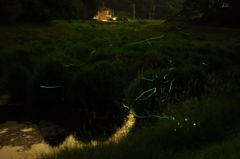 蛍の宿　IMGP6172