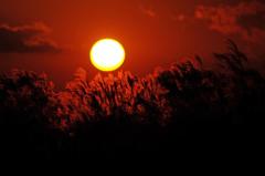 夕日
