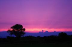 夕暮れ　aIMGP6802b