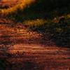 散歩道