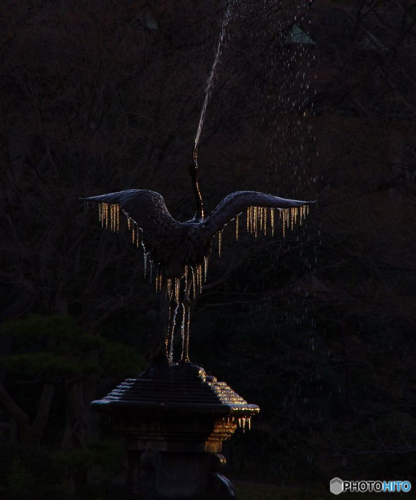 噴水　IMGP4437